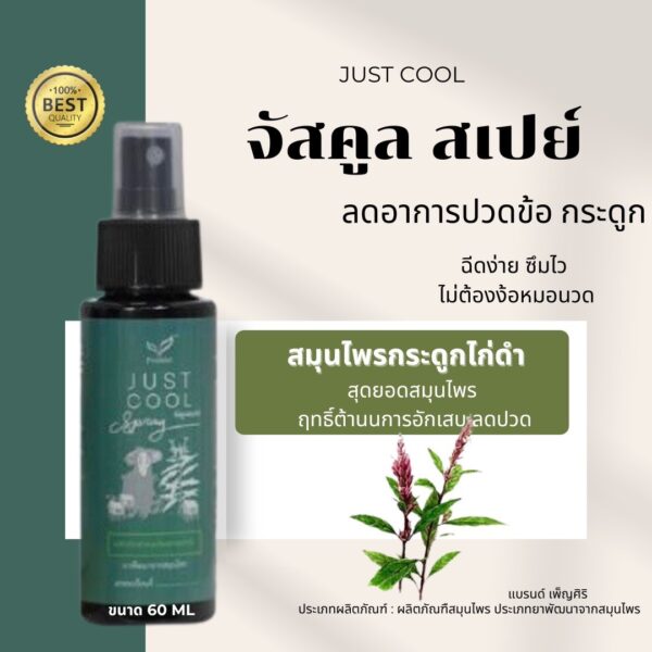 จัสคูล สเปย์ ลดอาการปวดข้อ ปวดกระดูก ปวดไมเกรน