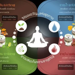 LINE_ALBUM_ผลิตภัณฑ์ ต้าหนิง_250109_1
