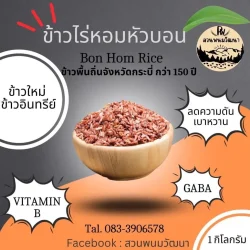 LINE_ALBUM_ผลิตภัณฑ์ เมย์+ บิ๊ก (สวนพนมวัฒนา)_250109_2